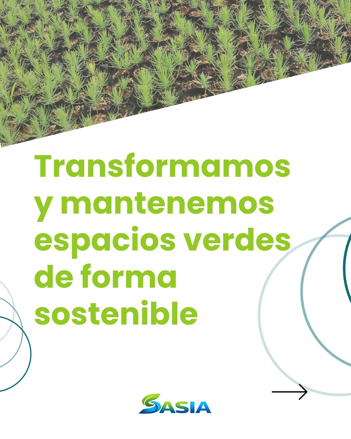 Mantenimiento y embellecimiento de zonas verdes